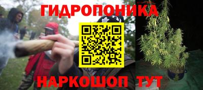 гидра Можайск